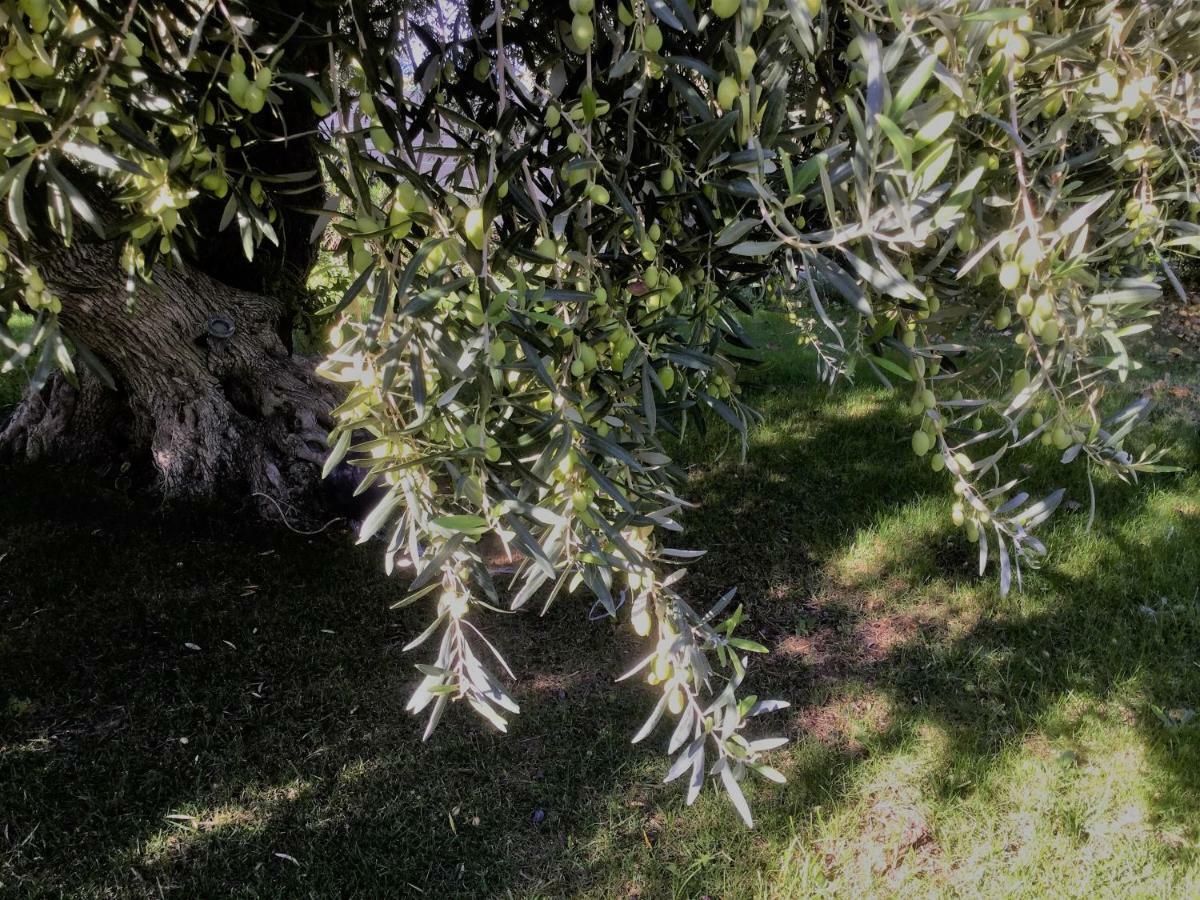 Il Dono Di Atena Cefalù Kültér fotó